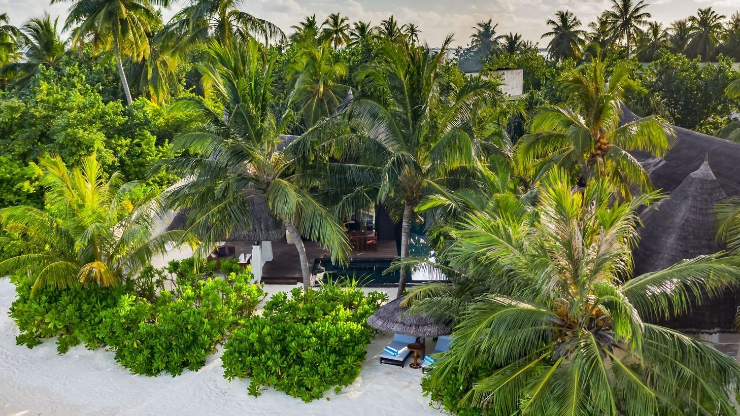 OZEN RESERVE BOLIFUSHI photo 1