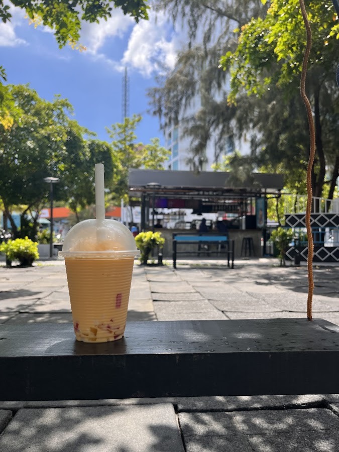 Roast Bar & Snacks – Alimas Carnival photo 1