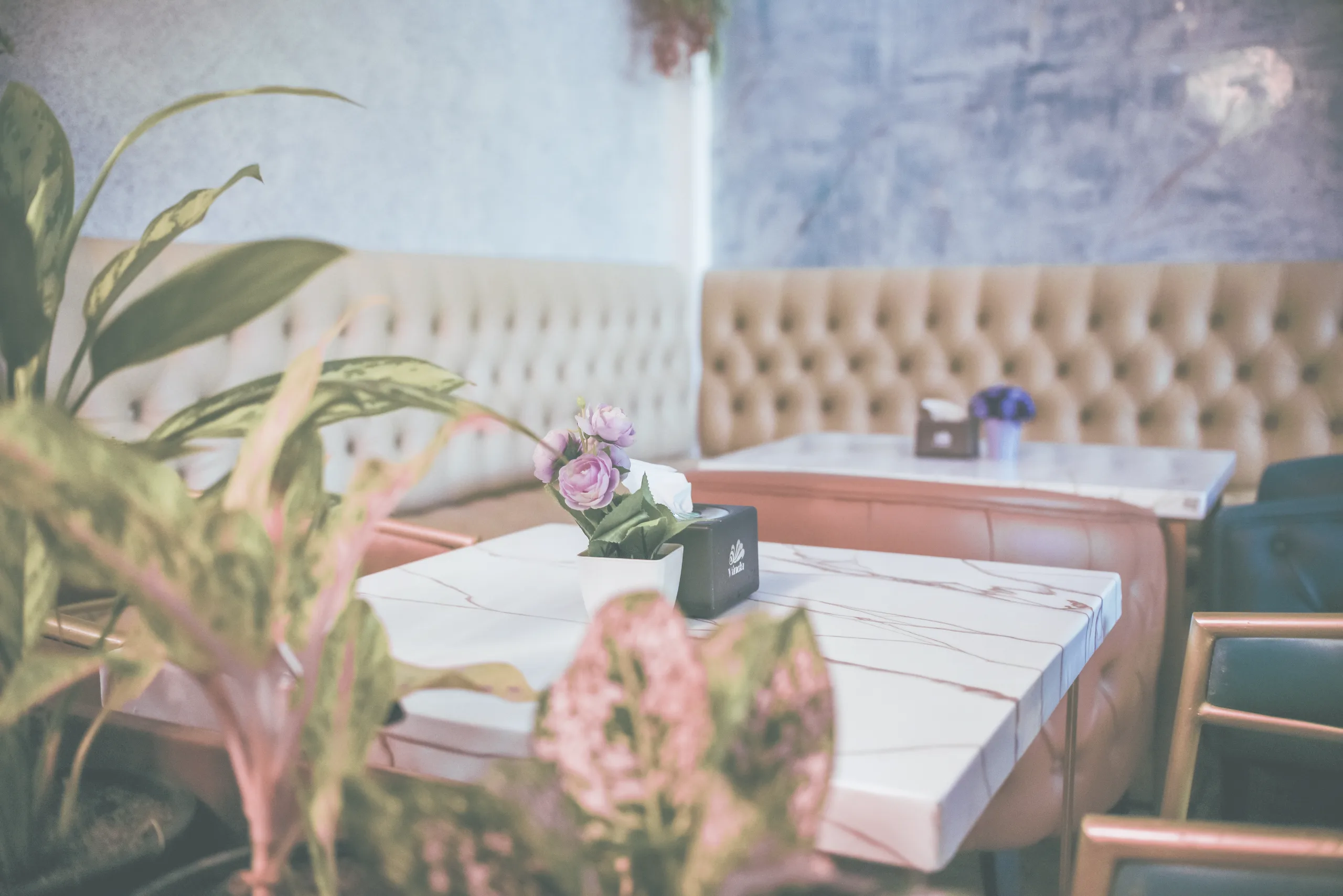 Vilu Café