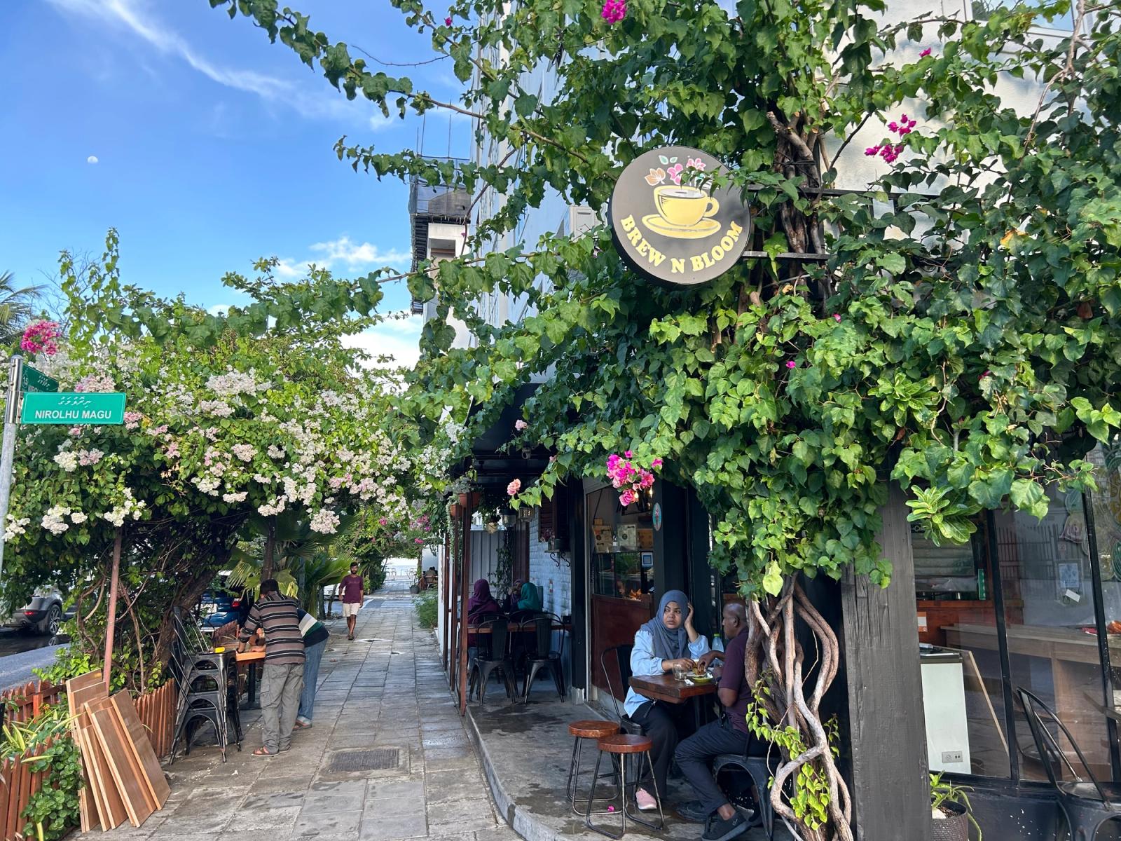 Brew N Bloom