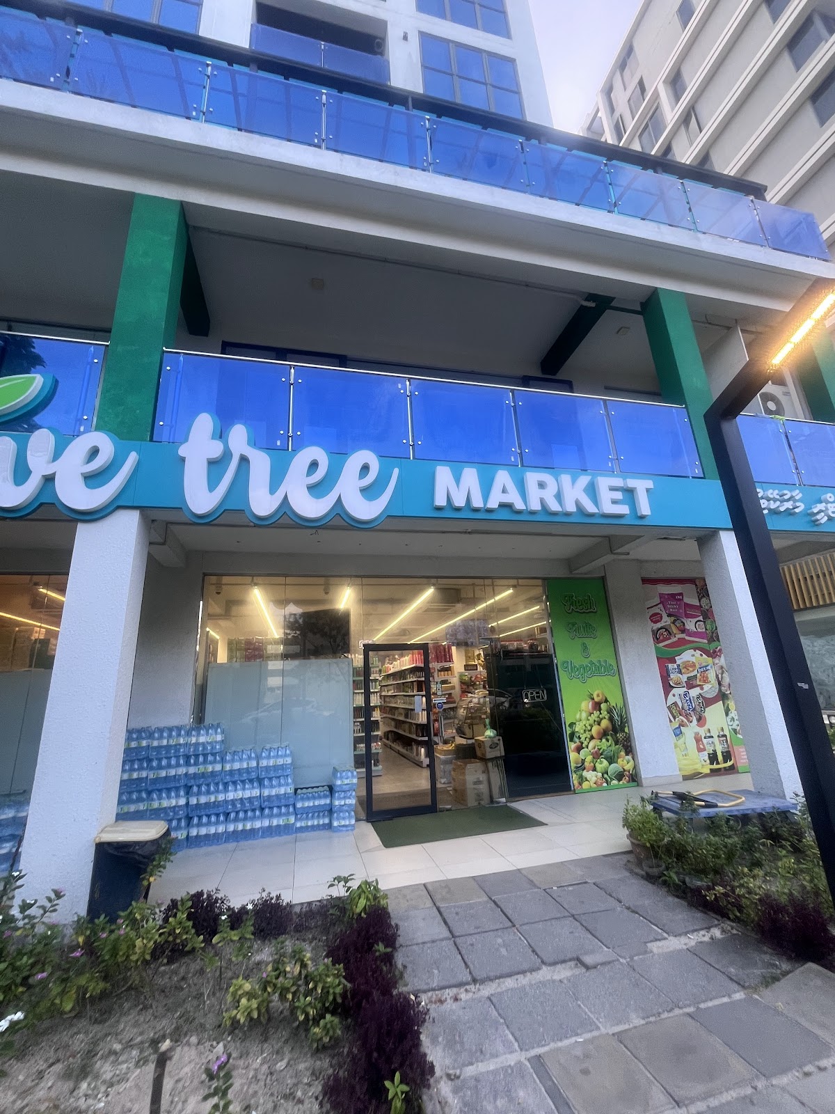 Olive Tree 5 – Hulhumalé