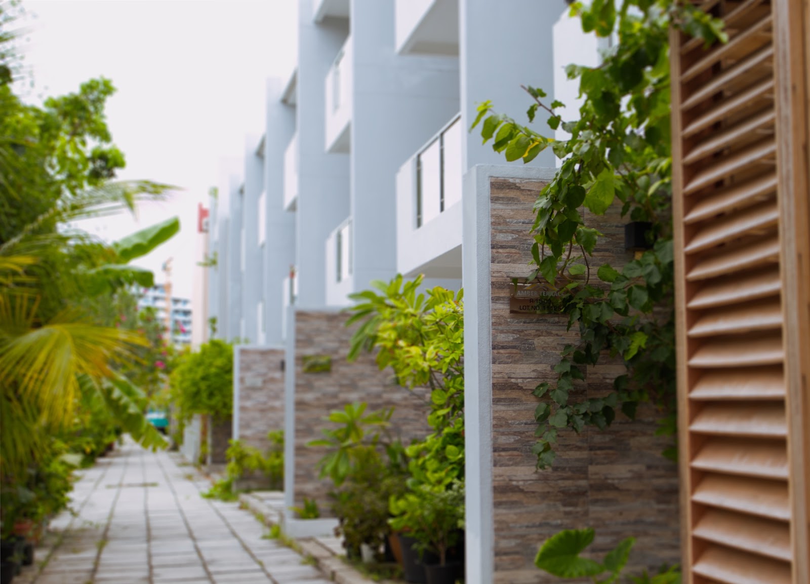 Rainland Developers photo 2