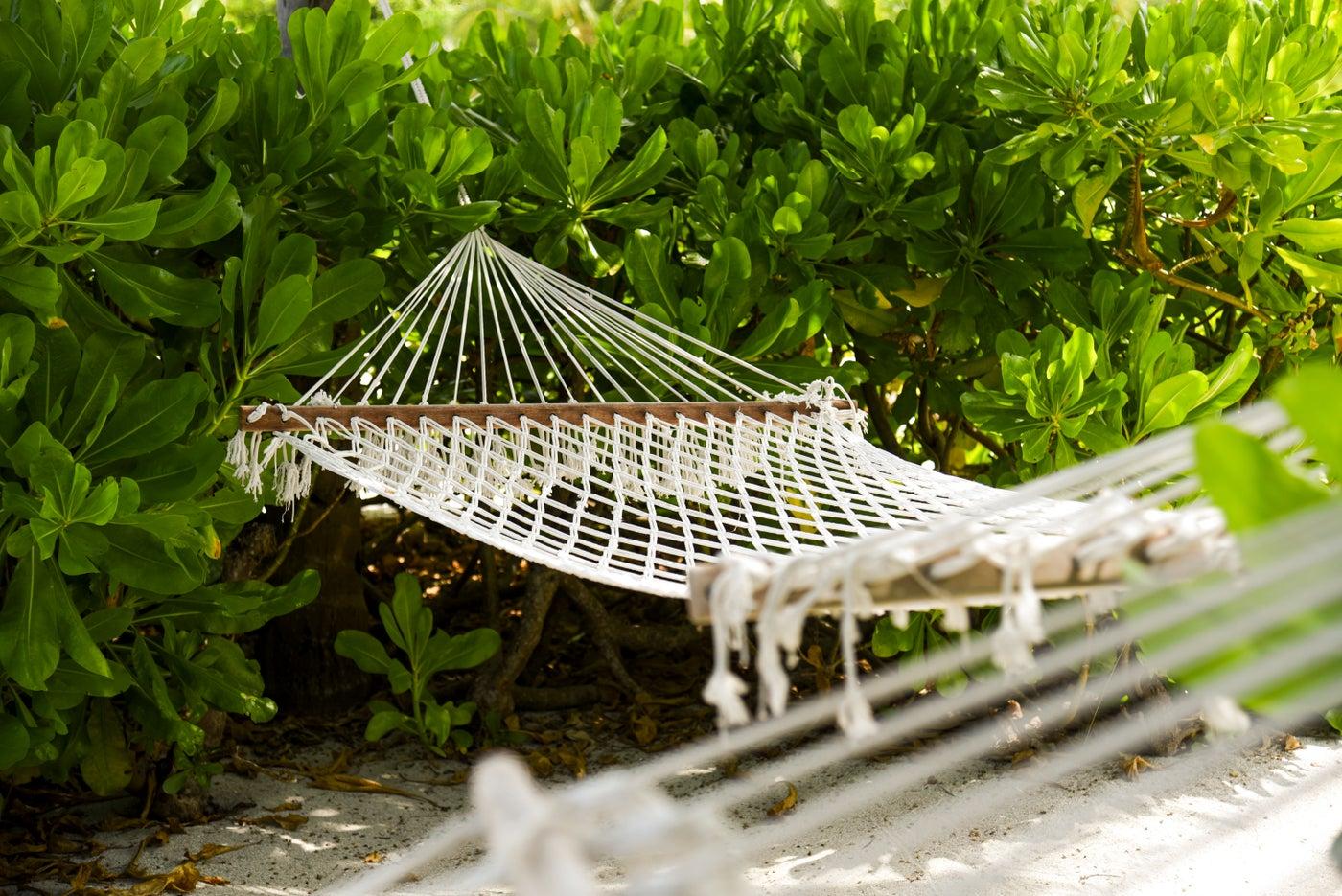 Constance Moofushi Resort photo 2