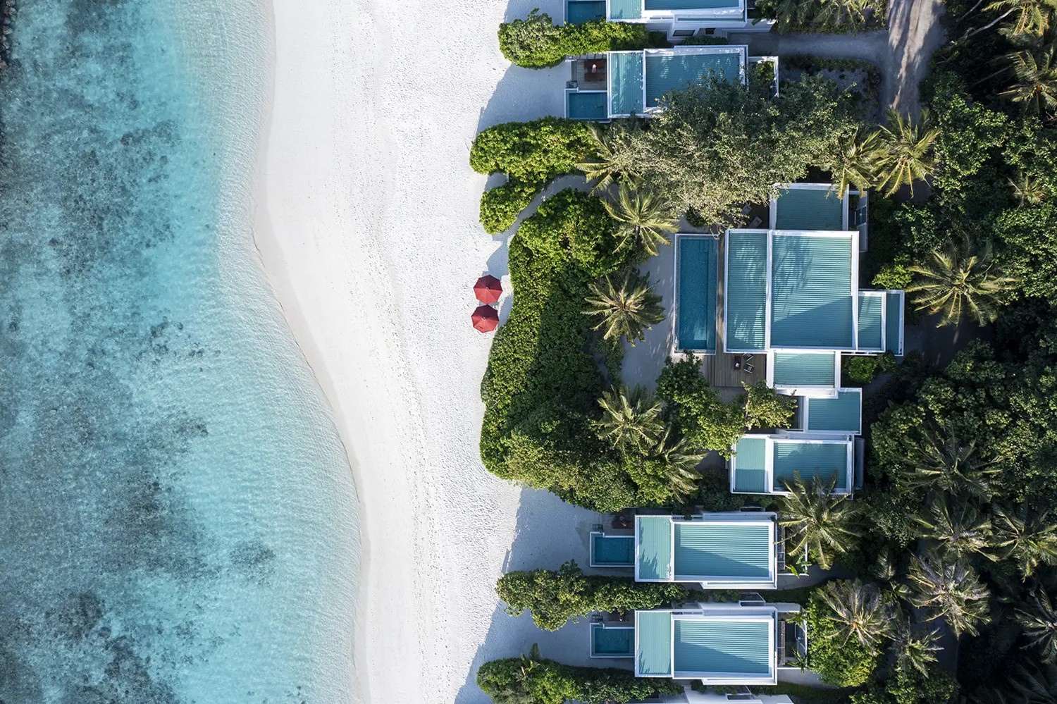 Niva Dhigali Maldives photo 3
